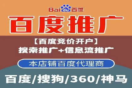 成功案例：百度推广代理助力电商突破